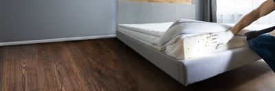 Bed Bug Removal - Rv Repair Sandusky County, Ohio